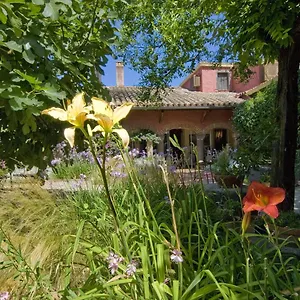 Lucrezia Italy