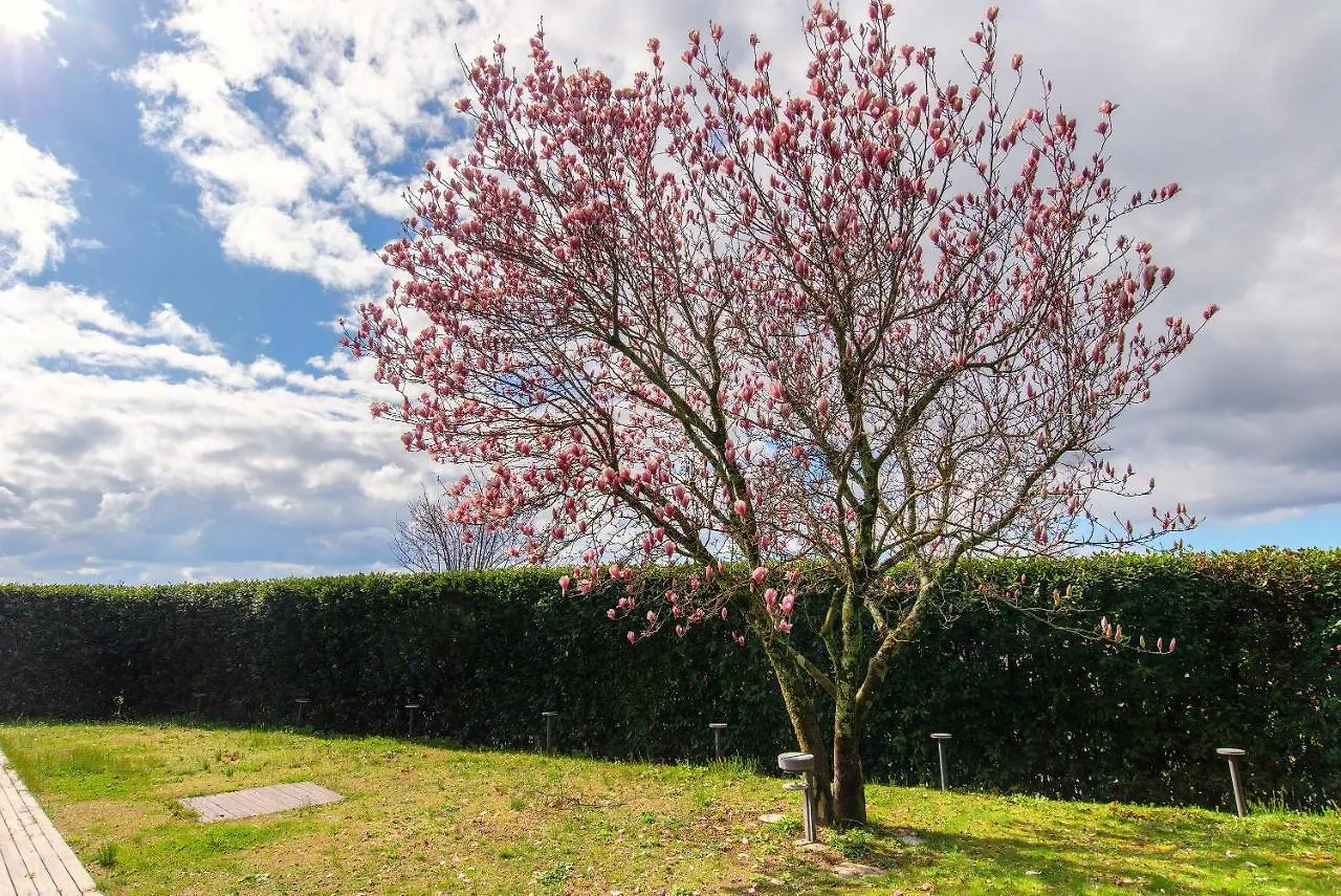 Feriested Villa Cassia Di Baccano San Giustino Valdarno